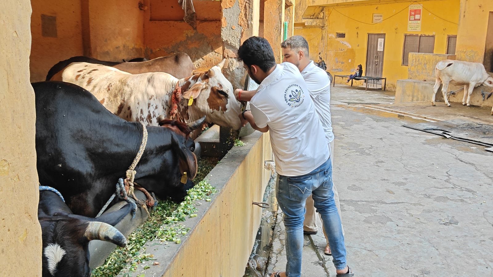 Volunteers taking part in an on-ground care activity