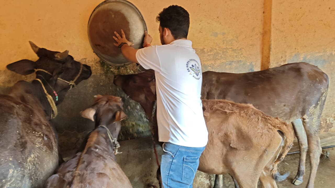 Real on-ground service work by EK Kripa Foundation volunteers