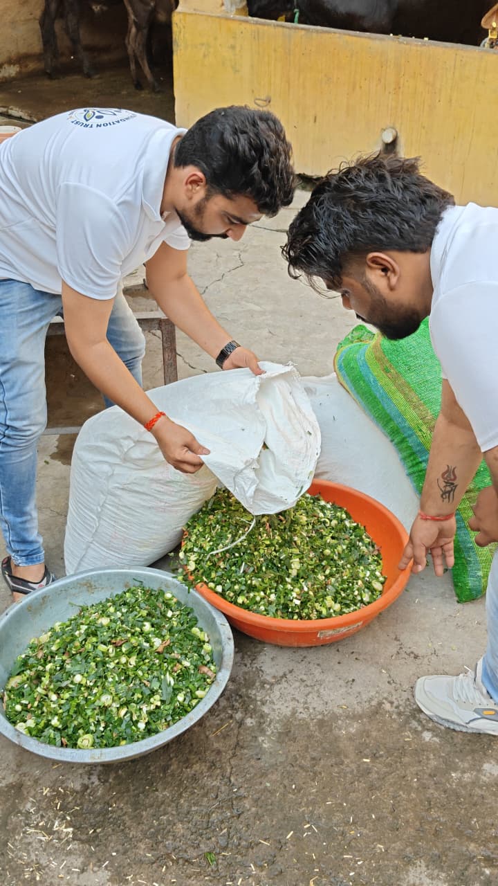 A portrait-oriented moment from EK Kripa Foundation volunteer work